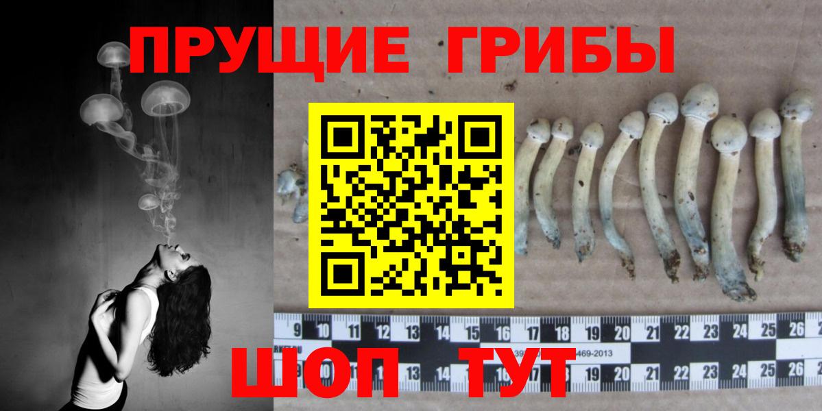 Псилоцибиновые грибы мухоморы Грязи