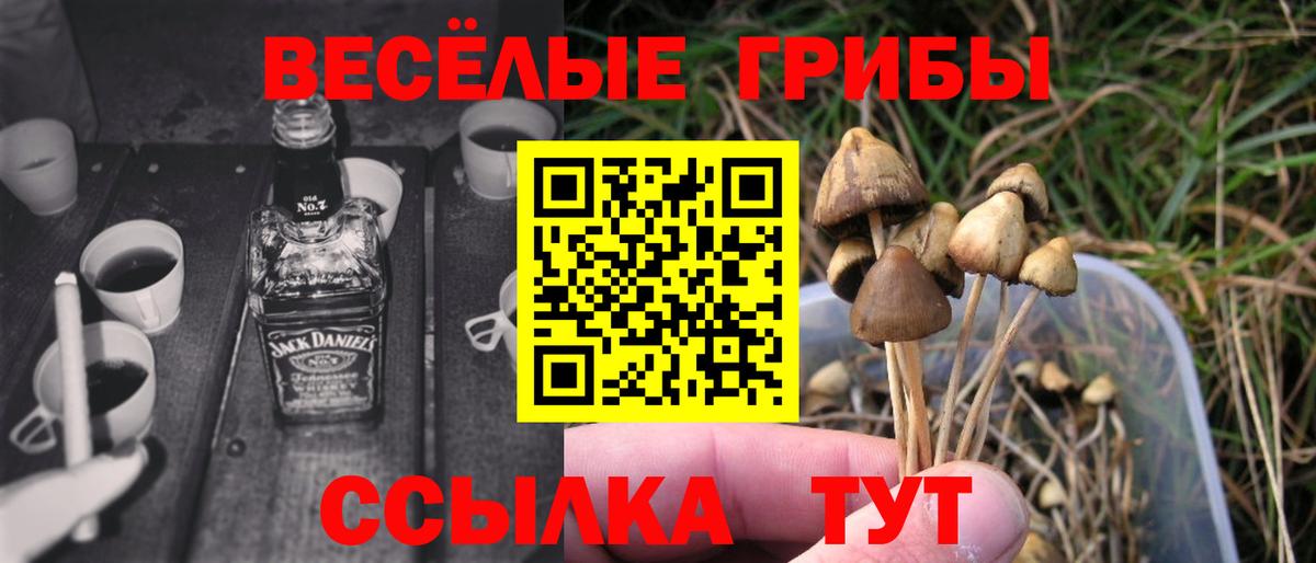 Псилоцибиновые грибы Psilocybine cubensis  Вход с VPN  Грязи 